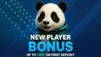 casa-de-apuestas-online-betpanda-oficial